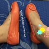 Giay Michael Kors Lindsay Mimosa