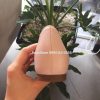 Giay Michael Kors Gia Ballet Soft Pink