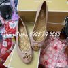 Giay Michael Kors Alice Ballet Soft Pink