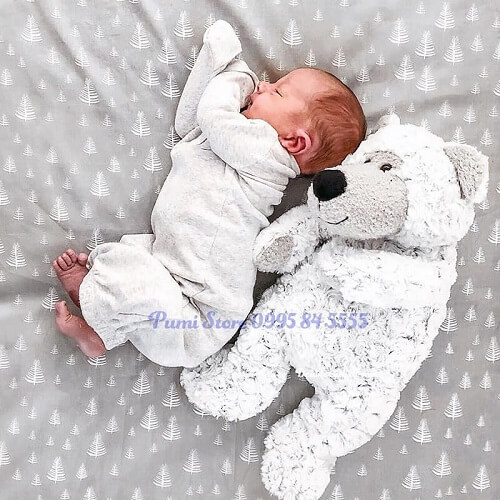 Bộ Bodysuit Carters