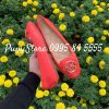 Giay Michael Kors Lillie Sea Coral