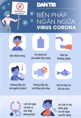Hiểu đúng virus Corona