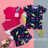 Set 4 do ngu Carter's Cotton Dinosaur Pajamas Pink/Navy