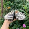 Giay Michael Kors Lillie Snakeskin