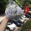 Khau trang 3M 8511