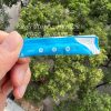Bình rửa mũi NanoCare cho trẻ em và người lớn