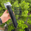 Thắt lưng golf nữ Under Armour chính hãng