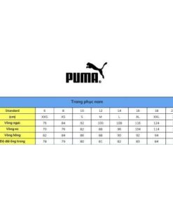 Áo Puma nam Essentials Small Logo Tee T-Shirt 58666806